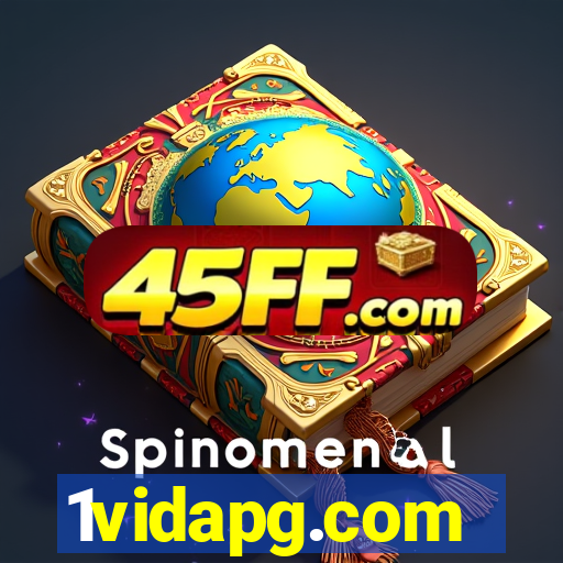 1vidapg.com