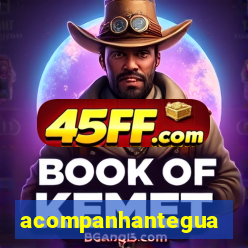 acompanhanteguanambi