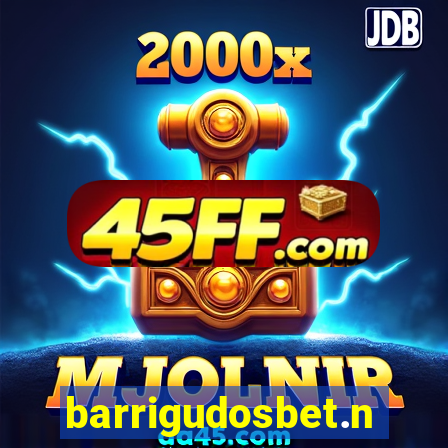 barrigudosbet.net