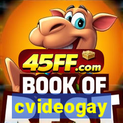 cvideogay