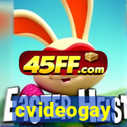 cvideogay