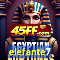 elefante7