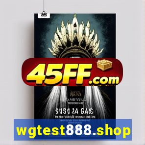 wgtest888.shop